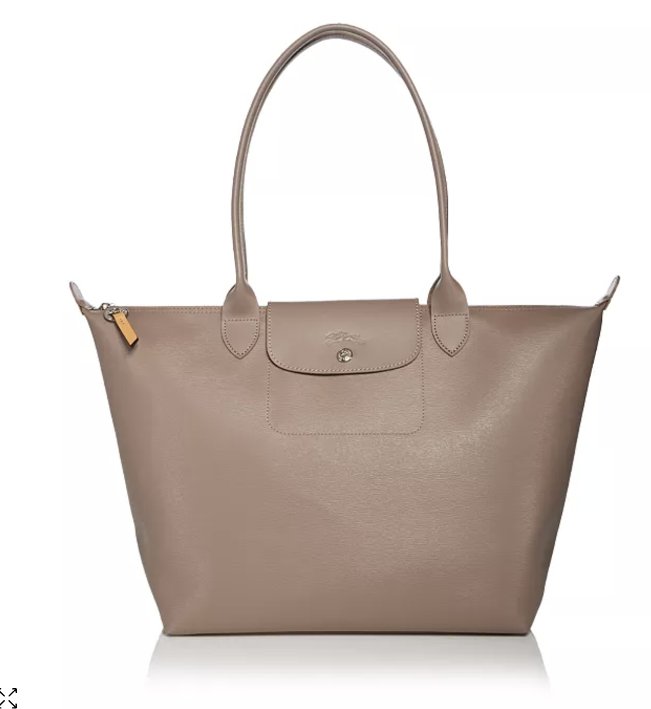 Longchamp Tote in neutral color